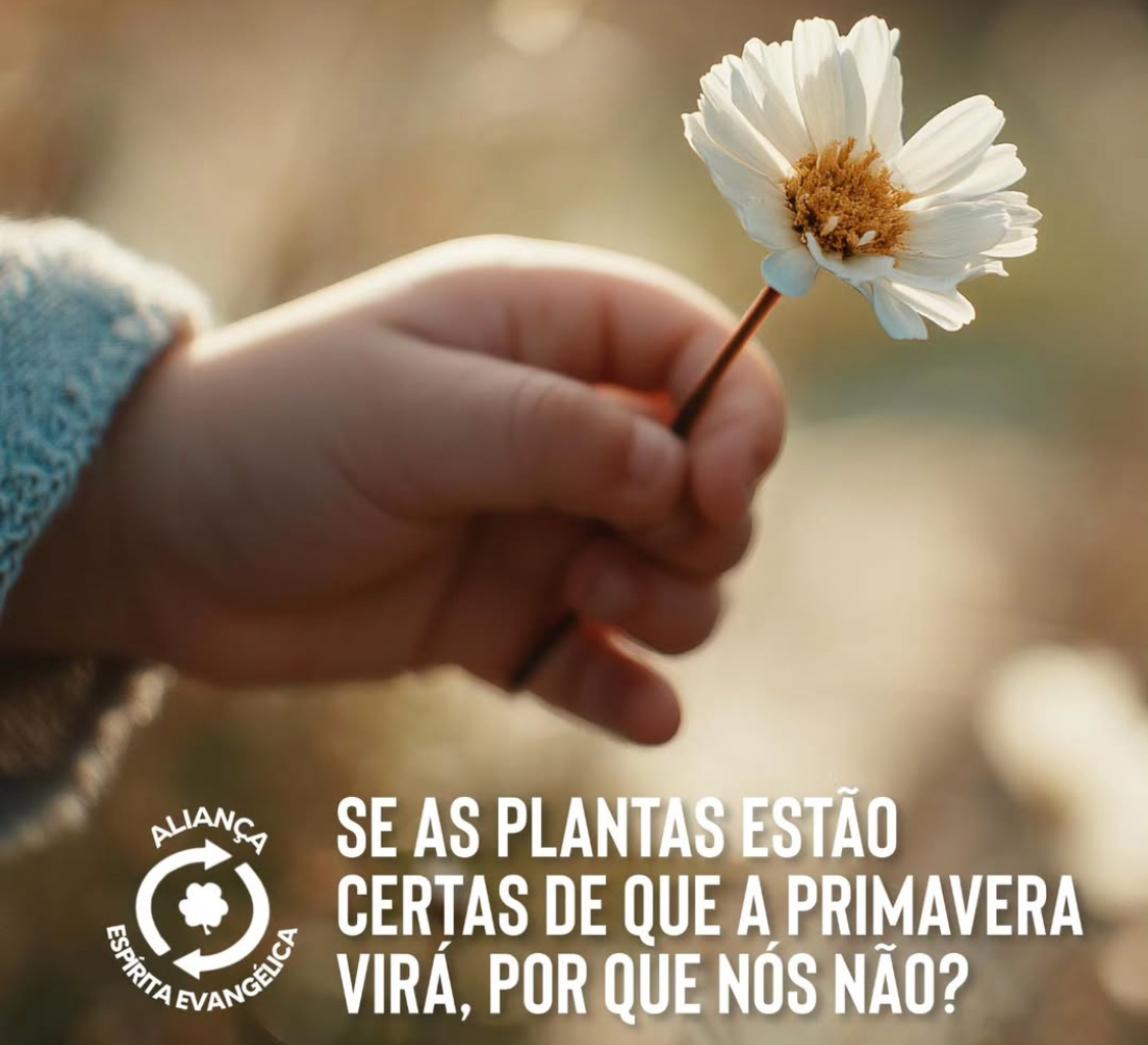 As Quatro Estações